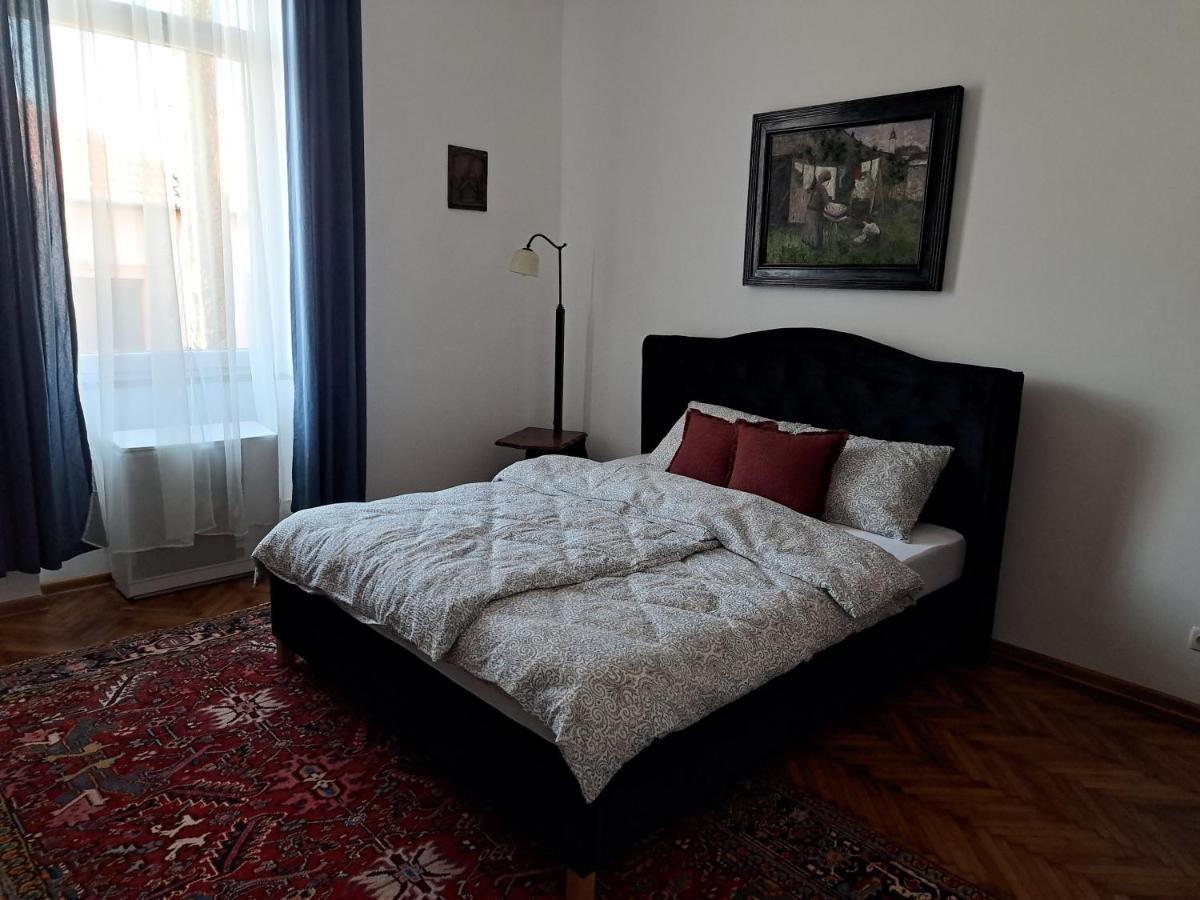 Weisz Apartment-City Center-Free Private Parking,Wifi,Ac Carei Exterior foto