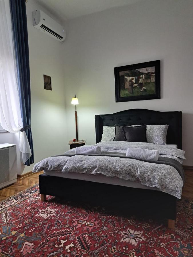 Weisz Apartment-City Center-Free Private Parking,Wifi,Ac Carei Exterior foto